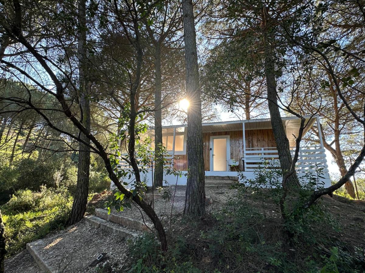 Falcoaria Setubal Exterior photo